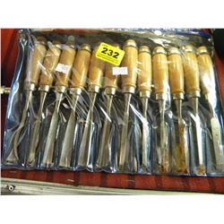 12 PIECE WOOD CARVING CHIZZLE SET