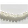 Image 3 : #21-FRESHWATER PEARL NECKLACE WITH STERLING