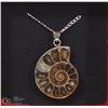 Image 1 : 1.5" AMMONITE PENDANT ON A .925 STERLING SILVER