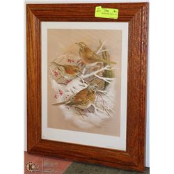 SIGNED BIRD PICTURE 14.5W  X 17H