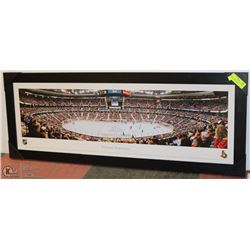 NEW FRAMED 16 X 43 NHL OTTAWA SENATORS ARENA PIC