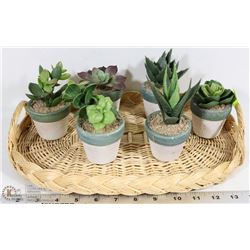 HANDLED BASKET WITH 6 ARTIFICIAL CACTUS PLANTS