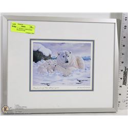 FRAMED + SIGNED A FERNANDEZ POLAR BEAR PICTURE