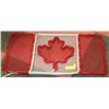 Image 1 : CANADIAN METAL FLAG ROPE LIGHT LIGHT-UP