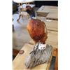 Image 2 : TAXIDERMY PHEASANT