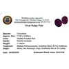 Image 2 : 11.08 ctw Oval Mixed Ruby Parcel