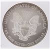 Image 2 : 2009 American Silver Eagle Dollar Coin