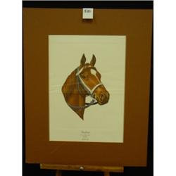 KENTUCKY DERBY Horse Prints - Winners