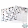 Image 1 : Estate Lot of 30x USA Coloured State Quarters Dated 1999-2004 in Plastic Pages. 30pcs