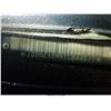 Image 7 : 1996 - PONTIAC GRAND AM