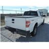 Image 4 : 2009 - FORD F-150