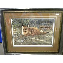 23975 STICKS & STONES YOUNG COUGARS L.E.P. - A CASEY