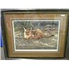 Image 1 : 23975 STICKS & STONES YOUNG COUGARS L.E.P. - A CASEY