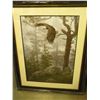 Image 1 : 24553 SHROUDED FOREST PRINT BY DANIEL SMITH