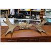 Image 1 : ANTLER RACK