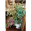 Image 2 : THREE PLANTERS WITH FLORALS