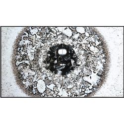 Birds Eye View 2000' by Tom Everhart