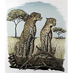 Lithograph "Cheetahs"  Alan E. Carman