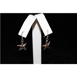 Lavish T & Co. Star Silver Earrings (8E)
