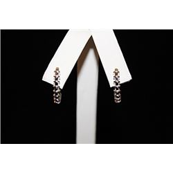 Exquisite Sapphire Silver Earrings (27E)