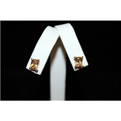 Beautiful Gemstone Silver Stud Earrings (53E)