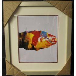 "COSMIC BASS" By PETER MAX (N)