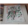 Image 5 : LOT OF HOCKEY EPHEMERA MAPLE LEAF GARDEN' S PROGRAMS  - MINN. NORTH STARS  PENNANT - 1946  ROLLER SK
