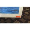 Image 2 : Framed Art: South Pacific Sailing - Robert Schaar 31.5" x 32"