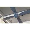 Image 8 : White 4-Blade Ceiling Fan