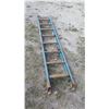 Image 1 : Werner 9' Ladder