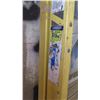Image 2 : Werner Tall Aluminum Ladder and 2 Step Ladders