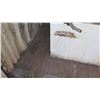 Image 25 : 25-Foot Shipping / Storage Container (Contents Not Included Except Attached Shelving)