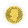 Image 3 : 2014 $5 Canada 1/10 oz Woolly Mammoth Gold Coin