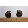 Image 1 : #22 - SET OF 2 SPLIT AMMONITE SHELLS