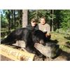 Image 1 : (10 Total Days) Five Days of Black Bear And Five Days Of Fishing For One Hunter