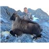 Image 1 : 3 Day Alpine Tahr for One Hunter