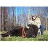 Image 1 : 1 Day Hunt for a 3 year old Bison Buffalo for One Hunter