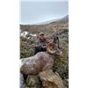 Image 1 : 18 Day Rocky Mountain Big Horn Sheep Hunt for One
