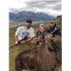 Image 1 : 5 Day Himalayan Bull Tahr Hunt for One Hunter