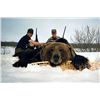 Image 1 : 10 Day Cordova Brown Bear Hunt for One Hunter
