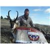 Image 1 : 2 Trophy Montana Mule Deer Hunts – One Hunter & One Selected Veteran