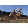 Image 1 : 5 Day Whitetail Deer for One Hunter