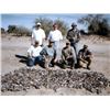Image 1 : 3 Day/4 Night Guided Dove, Quail, & Yellowtail Fishing for Two Hunters & Two Observers