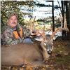 Image 1 : 5 Day/4 Night North Eastern Whitetail Deer (145”-160” SCI) Hunt for One Hunter and 1 Non- Hunter; Ma