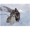 Image 1 : 7 to 8 Day Hunt for Marco Polo Sheep for One Hunter