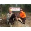 Image 1 : 6 Day Bear Hunt for One at our drive in camp - LaRonge, Saskatchewan, Canada