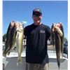 Image 2 : 6 Hour Walleye Fishing Trip for 4 people on Saginaw Bay - AuGres, Michigan