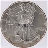 1996 American Silver Eagle Dollar Coin