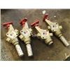 Image 1 : Ross LockOut & eXhaust Valves, P/N: 1523 C 4002