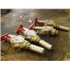Image 3 : Ross LockOut & eXhaust Valves, P/N: 1523 C 4002